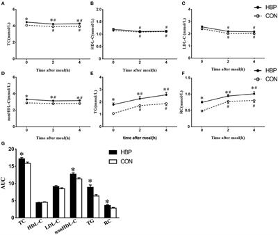 Change in Postprandial Level of Remnant Cholesterol After a Daily Breakfast in Chinese Patients With Hypertension